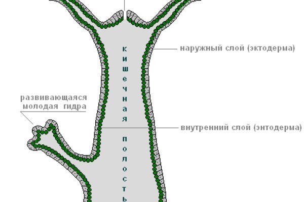 Как сделать заказ на кракен