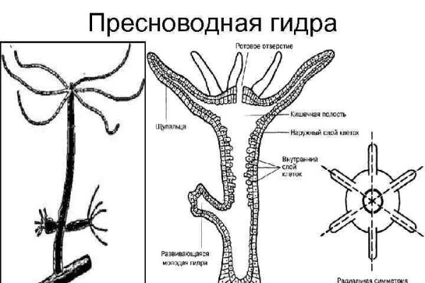 Ссылки для tor